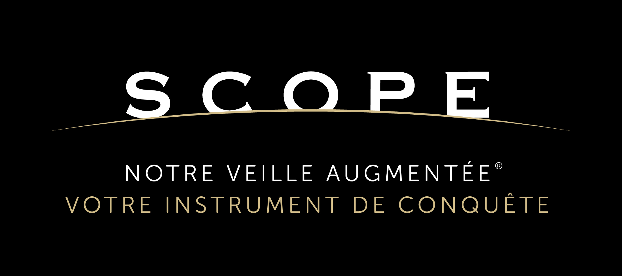 Veille Stratégique Scope Veille Augmentée LOGO